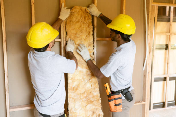 Best Wall Insulation Installation  in Frankton, IN